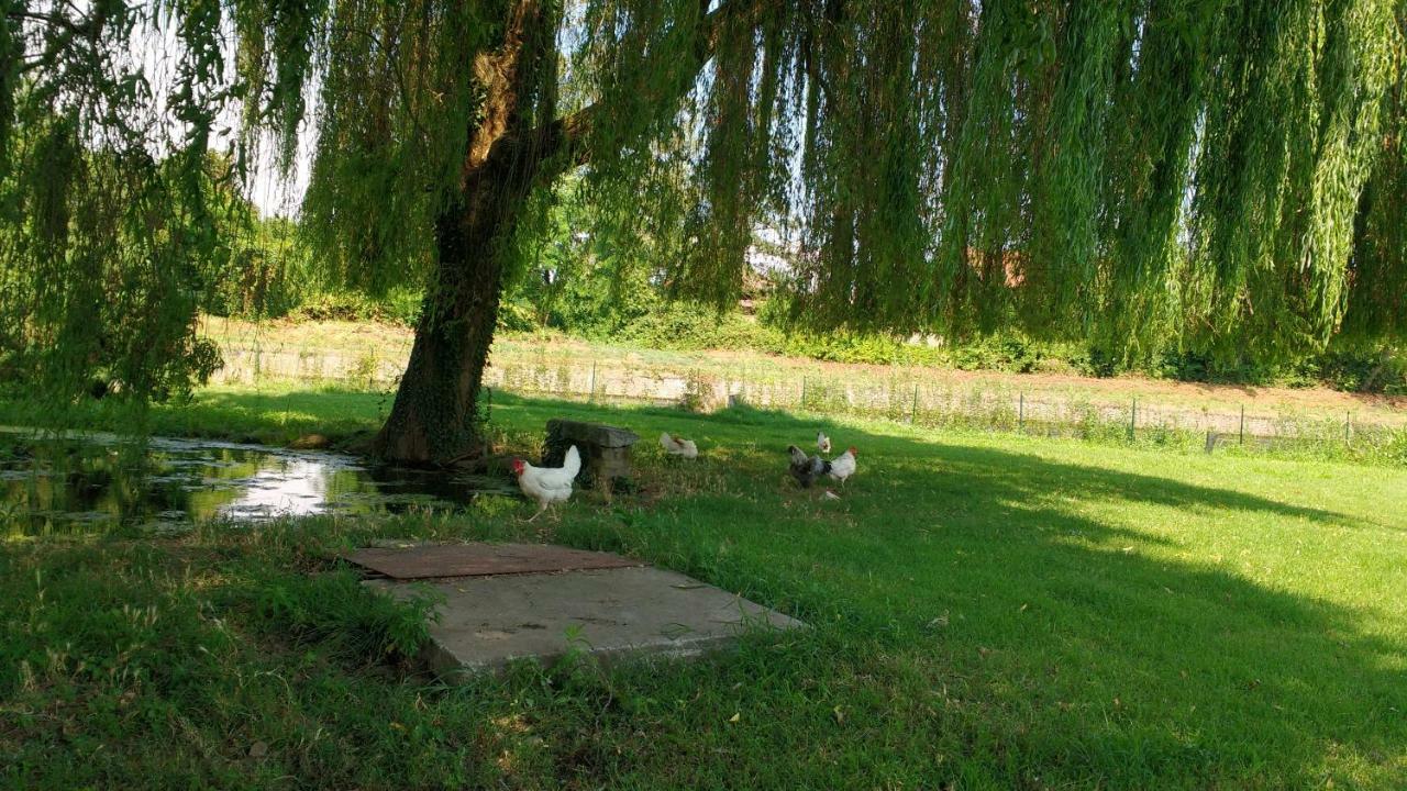 Agriturismo Cascina Poscallone Abbiategrasso Exterior photo